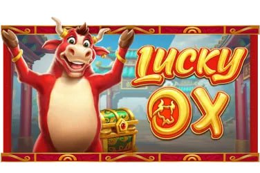 tiktak88 live casino dengan dealer sungguhan pengalaman bermain nyata